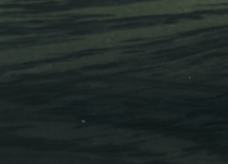 Разноуровневый порог для пола из алюминия ПР-45/15 (дуб черный)